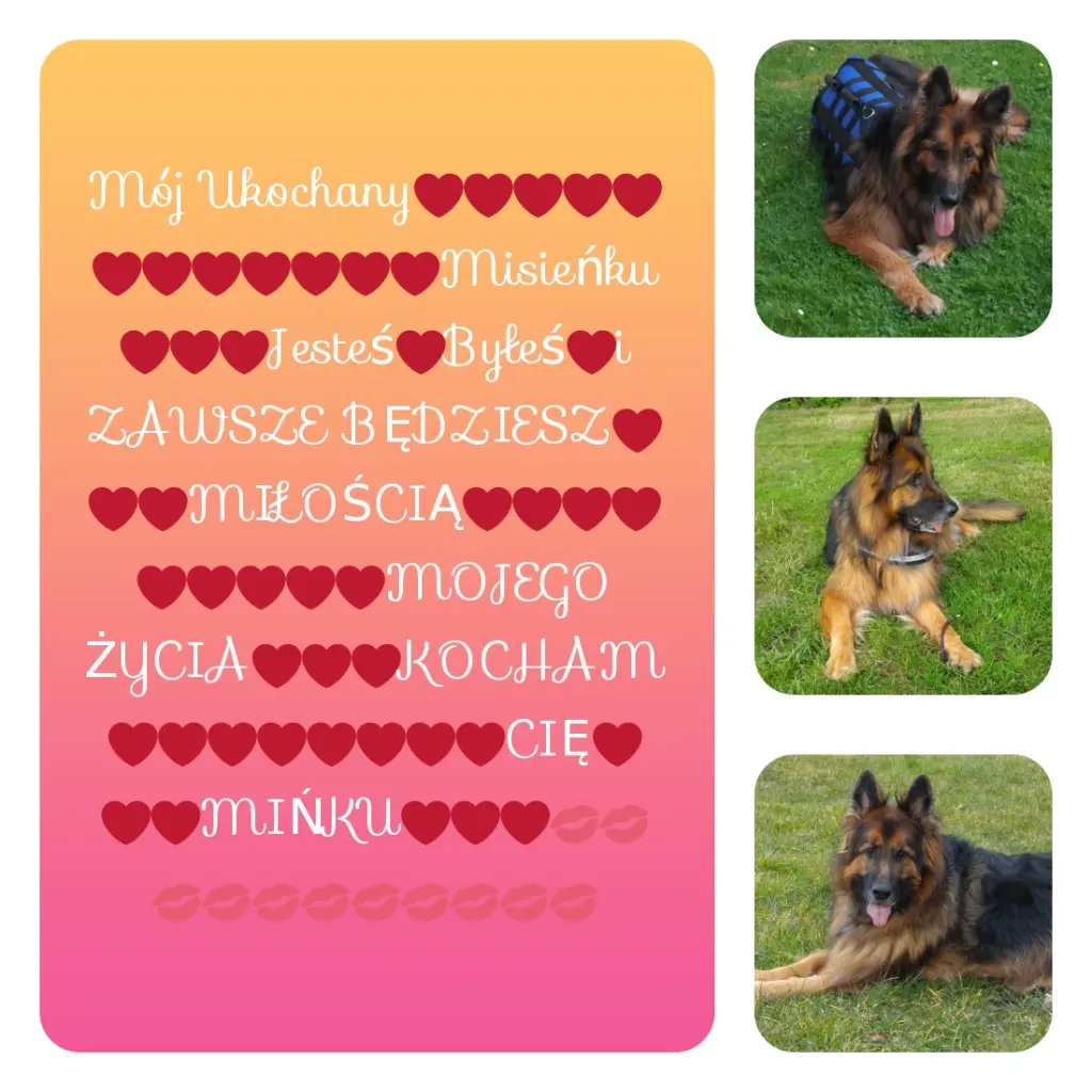 Condolence image of Dzień Dobry❤️❤️❤️mój Ukochany❤️❤️❤️❤️❤️❤️❤️Misieńku❤️❤️❤️