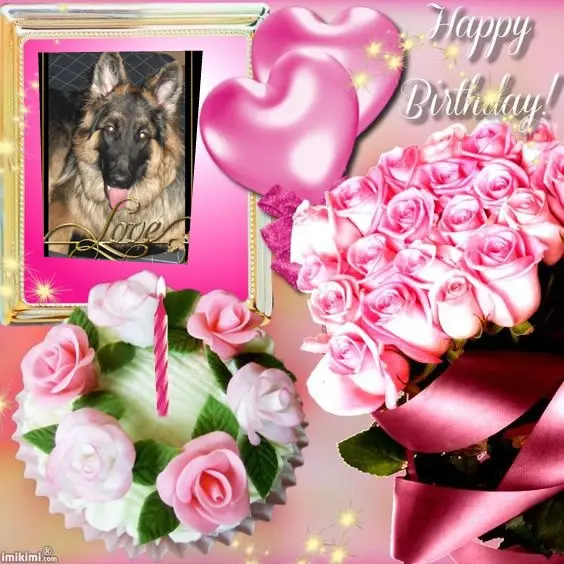 Condolence image of 15.Urodzinki❤️❤️❤️❤️❤️❤️❤️❤️❤️❤️❤️❤️❤️❤️❤️mojego Misia❤️❤️❤️