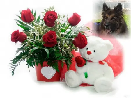 Condolence image of Dzień Dobry❤️❤️❤️mój Ukochany❤️❤️❤️❤️❤️❤️❤️Misieńku❤️❤️❤️