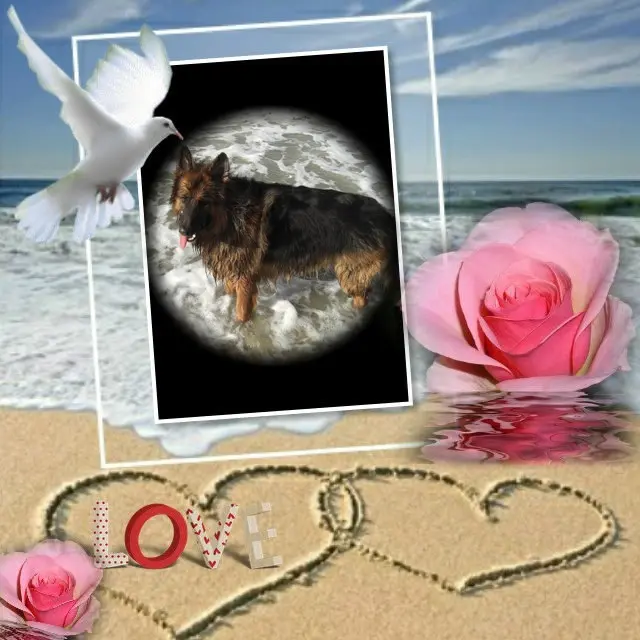Condolence image of Dzień Dobry❤️❤️❤️mój Ukochany❤️❤️❤️❤️❤️❤️❤️Misieńku❤️❤️❤️