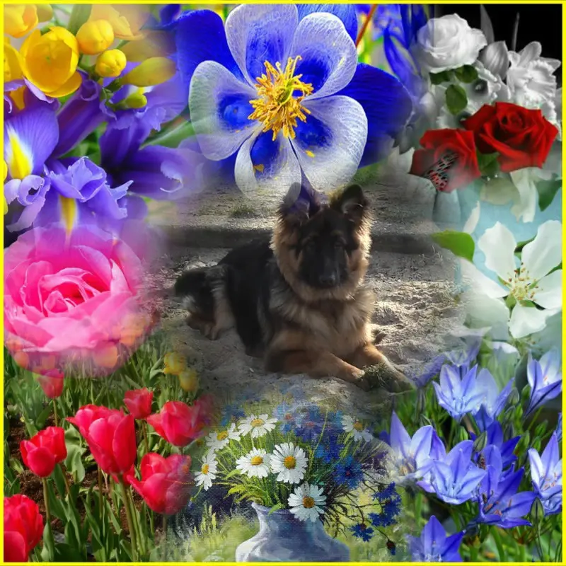 Condolence image of Dzień Dobry❤️❤️❤️mój Ukochany❤️❤️❤️❤️❤️❤️❤️Misieńku❤️❤️❤️