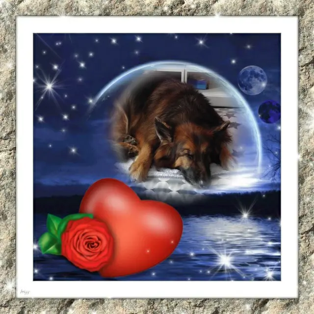 Condolence image of Dobrej Nocki❤️❤️❤️❤️❤️❤️mój Ukochany❤️❤️❤️❤️❤️❤️Misieńku❤️❤️❤️