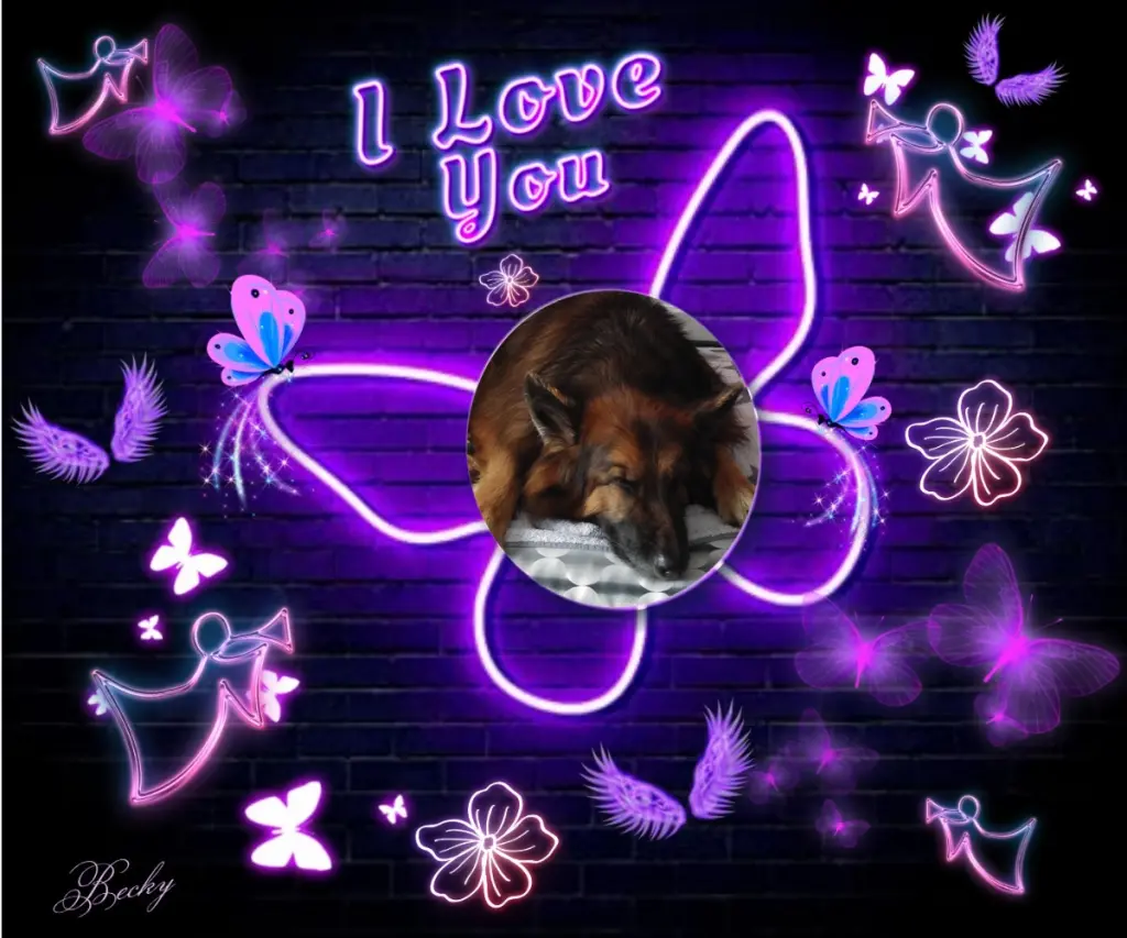 Condolence image of Dobrej Nocki❤️❤️❤️❤️❤️❤️mój Ukochany❤️❤️❤️❤️❤️❤️Misieńku❤️❤️❤️