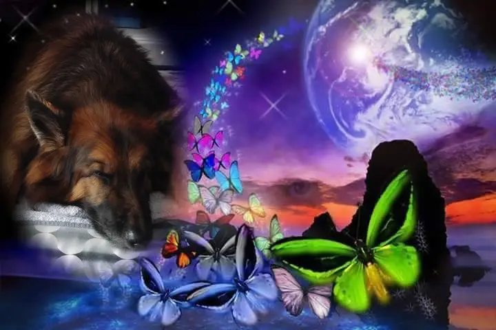 Condolence image of Dobrej Nocki❤️❤️❤️❤️❤️❤️mój Ukochany❤️❤️❤️❤️❤️❤️Misieńku❤️❤️❤️