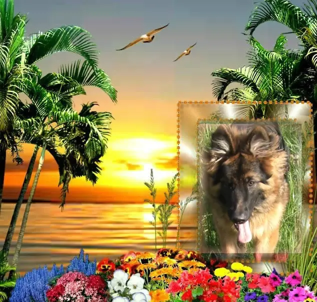 Condolence image of Dzień Dobry❤️❤️❤️mój Ukochany❤️❤️❤️❤️❤️❤️❤️Misieńku❤️❤️❤️
