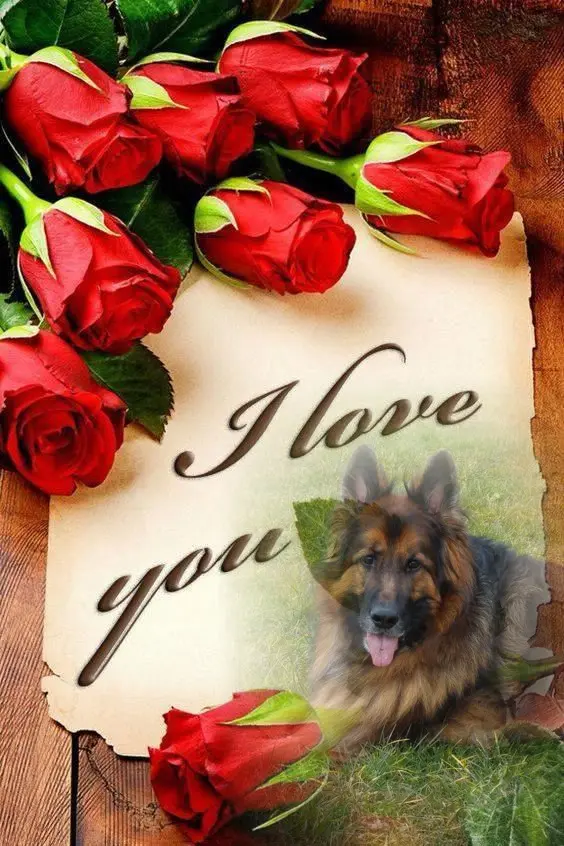 Condolence image of Dzień Dobry❤️❤️❤️mój Ukochany❤️❤️❤️❤️❤️❤️❤️Misieńku❤️❤️❤️