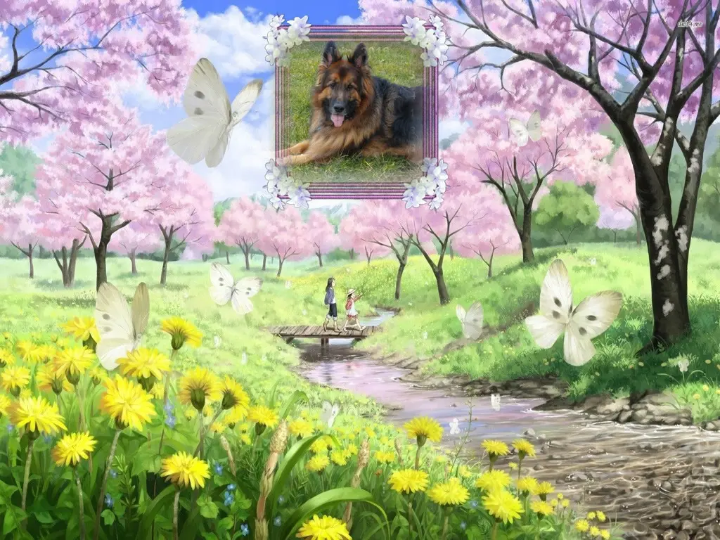 Condolence image of Dzień Dobry❤️❤️❤️mój Ukochany❤️❤️❤️❤️❤️❤️❤️Misieńku❤️❤️❤️