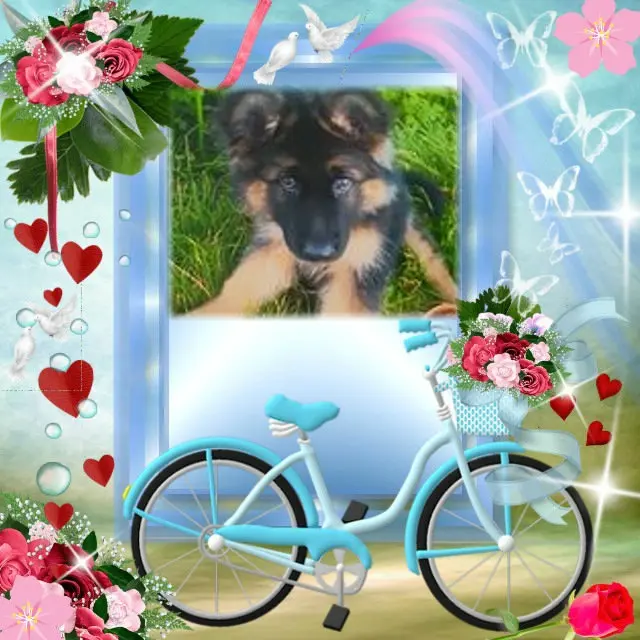 Condolence image of Dzień Dobry❤️❤️❤️mój Ukochany❤️❤️❤️❤️❤️❤️❤️Misieńku❤️❤️❤️