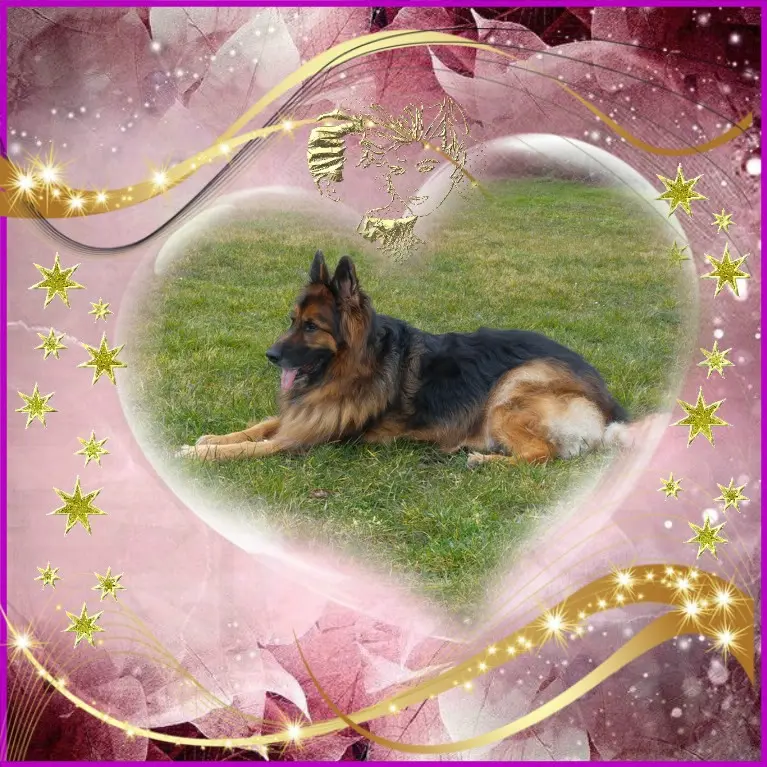 Condolence image of Dzień Dobry❤️❤️❤️mój Ukochany❤️❤️❤️❤️❤️❤️❤️Misieńku❤️❤️❤️