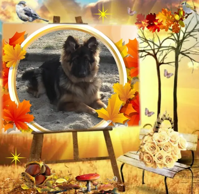 Condolence image of Dzień Dobry❤️❤️❤️mój Ukochany❤️❤️❤️❤️❤️❤️❤️Misieńku❤️❤️❤️
