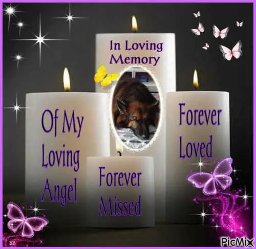 Condolence image of Dobrej Nocki❤️❤️❤️❤️❤️❤️mój Ukochany❤️❤️❤️❤️❤️❤️Misieńku❤️❤️❤️
