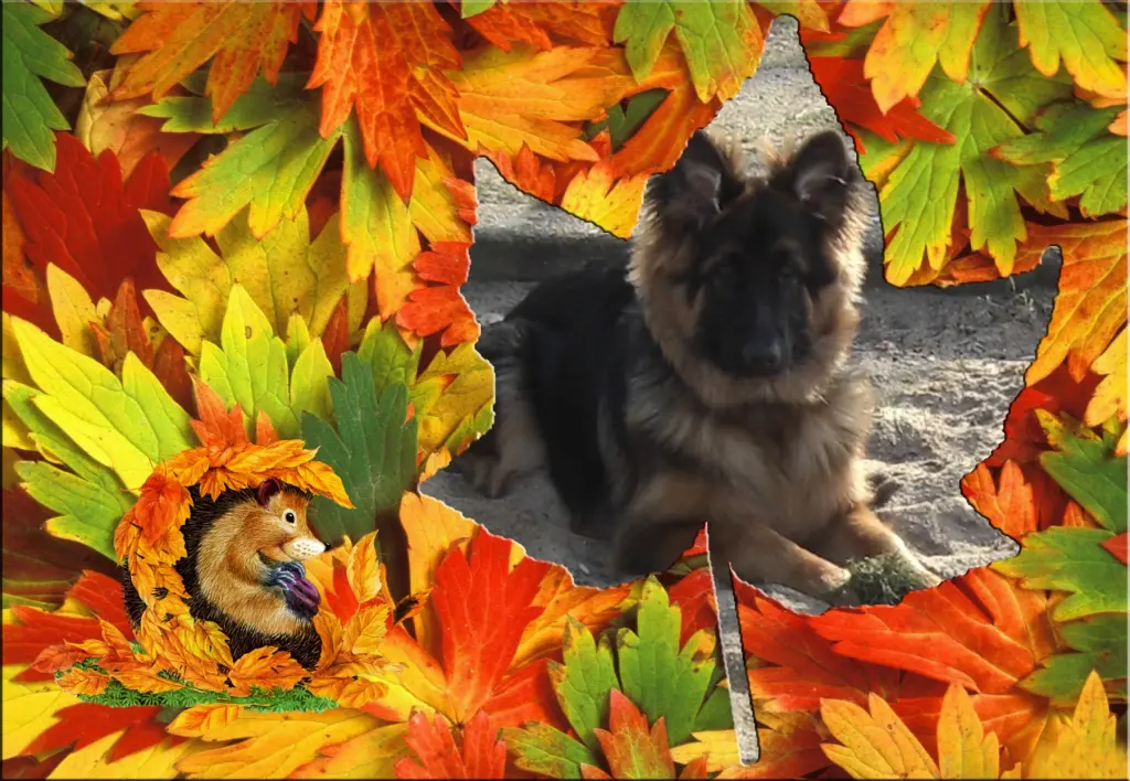 Condolence image of Dzień Dobry❤️❤️❤️mój Ukochany❤️❤️❤️❤️❤️❤️❤️Misieńku❤️❤️❤️