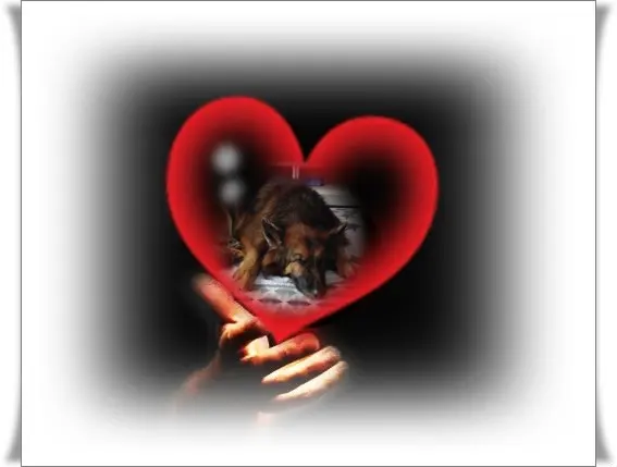 Condolence image of Dobrej Nocki❤️❤️❤️❤️❤️❤️mój Ukochany❤️❤️❤️❤️❤️❤️Misieńku❤️❤️❤️