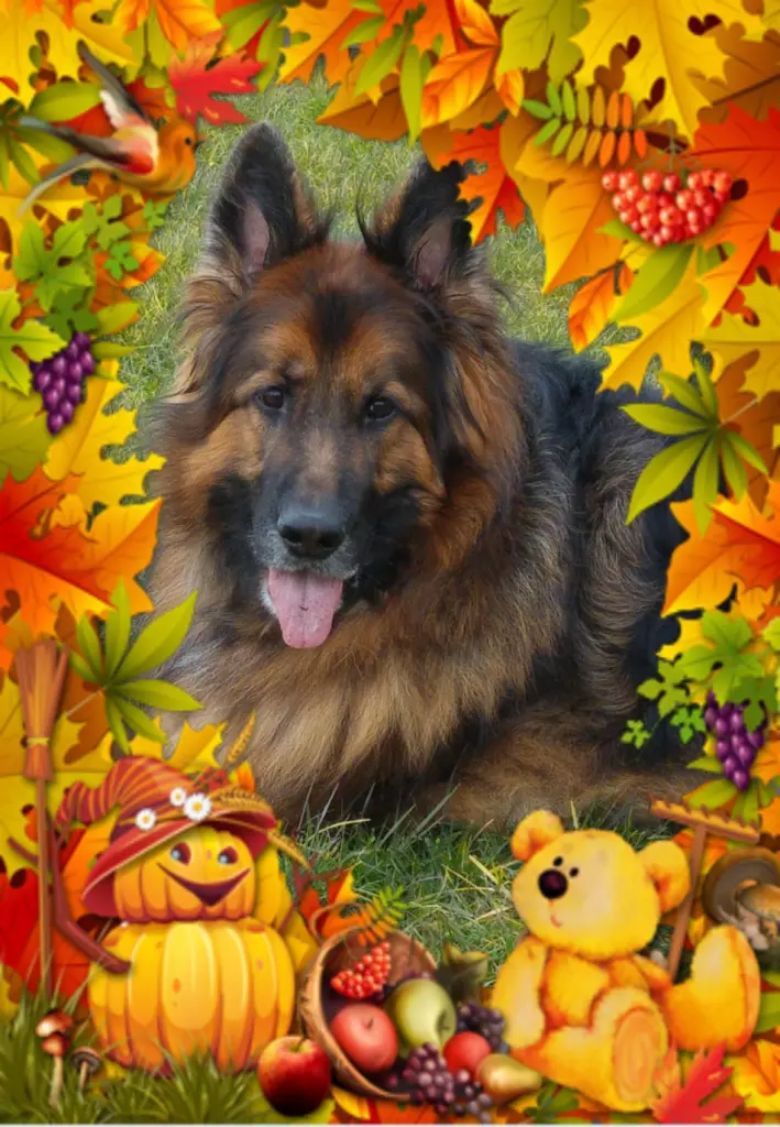 Condolence image of Dzień Dobry❤️❤️❤️mój Ukochany❤️❤️❤️❤️❤️❤️❤️Misieńku❤️❤️❤️