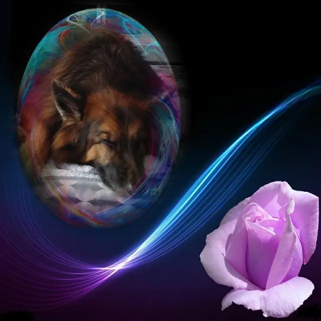 Condolence image of Dobrej Nocki❤️❤️❤️❤️❤️❤️mój Ukochany❤️❤️❤️❤️❤️❤️Misieńku❤️❤️❤️