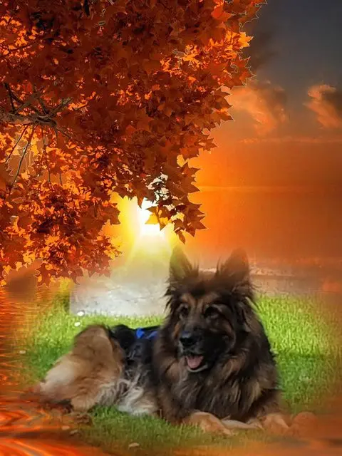 Condolence image of Dzień Dobry❤️❤️❤️mój Ukochany❤️❤️❤️❤️❤️❤️❤️Misieńku❤️❤️❤️
