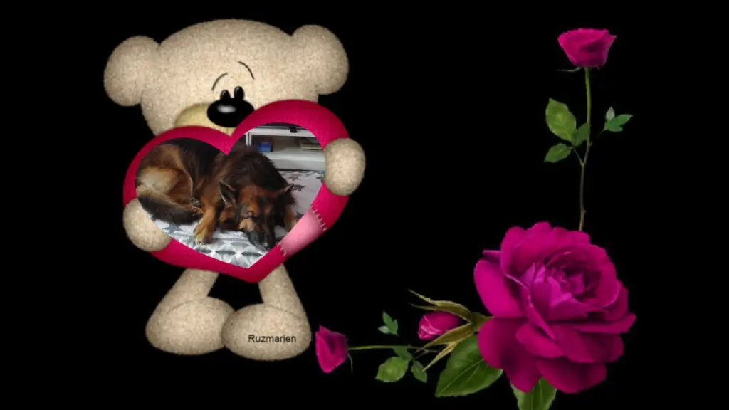 Condolence image of Dobrej Nocki❤️❤️❤️❤️❤️❤️mój Ukochany❤️❤️❤️❤️❤️❤️Misieńku❤️❤️❤️