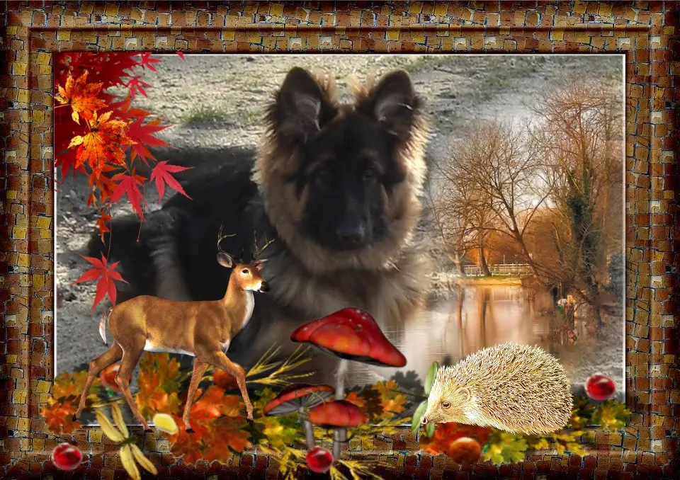 Condolence image of Dzień Dobry❤️❤️❤️mój Ukochany❤️❤️❤️❤️❤️❤️❤️Misieńku❤️❤️❤️