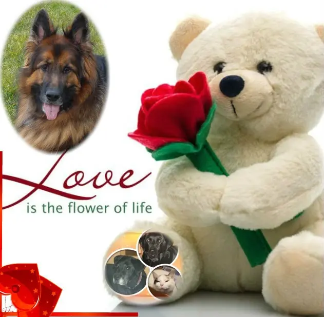 Condolence image of Dzień Dobry❤️❤️❤️mój Ukochany❤️❤️❤️❤️❤️❤️❤️Misieńku❤️❤️❤️