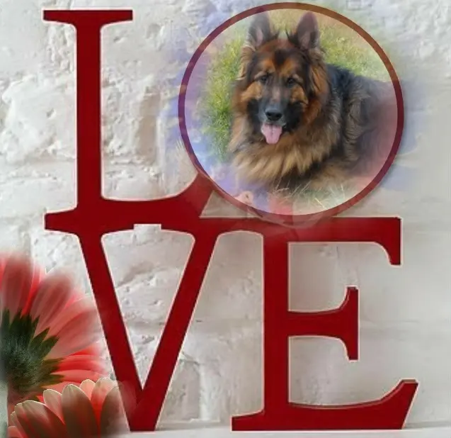 Condolence image of Dzień Dobry❤️❤️❤️mój Ukochany❤️❤️❤️❤️❤️❤️❤️Misieńku❤️❤️❤️