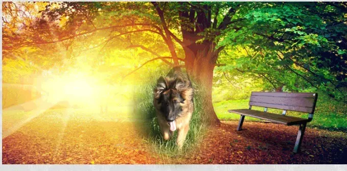 Condolence image of Dzień Dobry❤️❤️❤️mój Ukochany❤️❤️❤️❤️❤️❤️❤️Misieńku❤️❤️❤️
