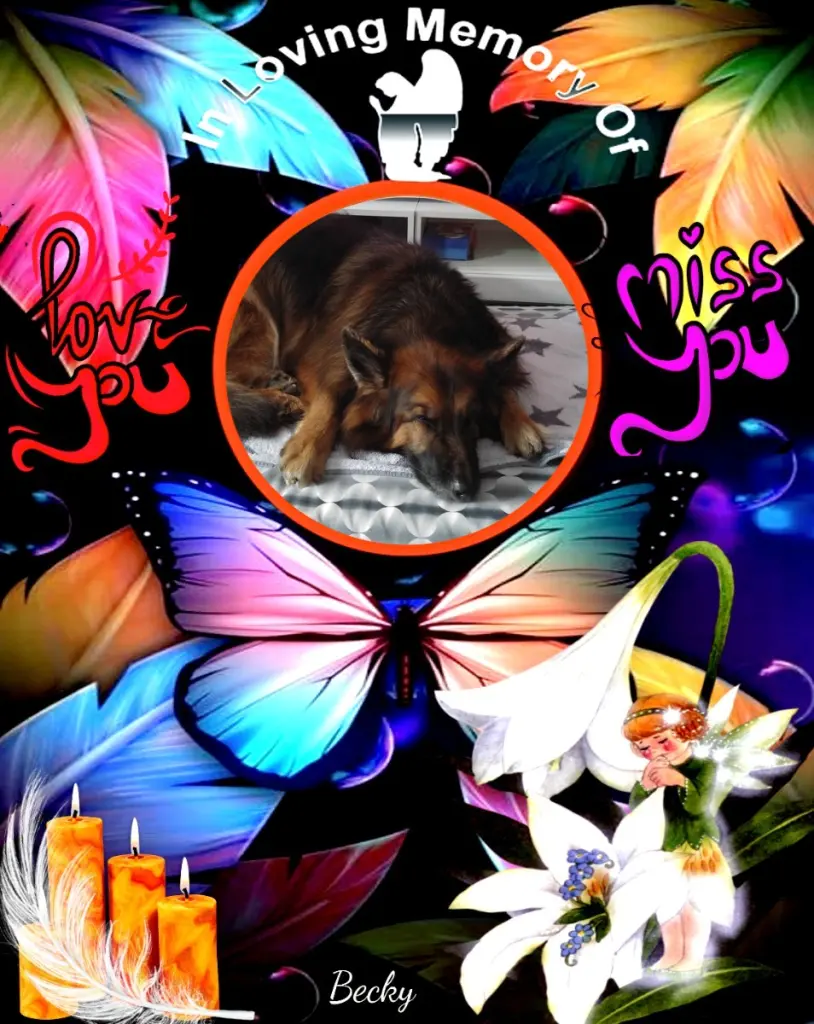 Condolence image of Dobrej Nocki❤️❤️❤️❤️❤️❤️mój Ukochany❤️❤️❤️❤️❤️❤️Misieńku❤️❤️❤️