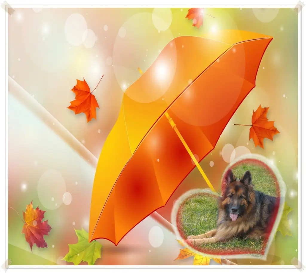 Condolence image of Dzień Dobry❤️❤️❤️mój Ukochany❤️❤️❤️❤️❤️❤️❤️Misieńku❤️❤️❤️