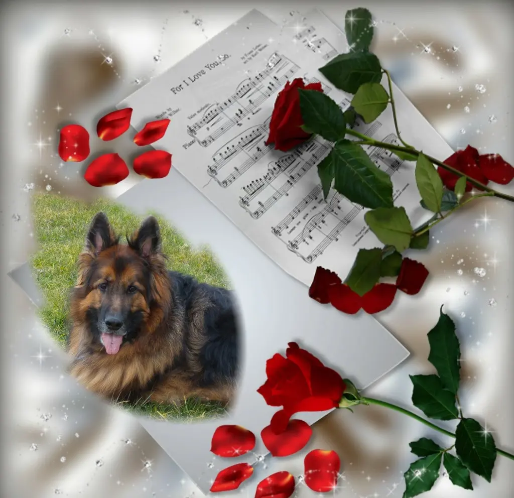 Condolence image of Dzień Dobry❤️❤️❤️mój Ukochany❤️❤️❤️❤️❤️❤️❤️Misieńku❤️❤️❤️