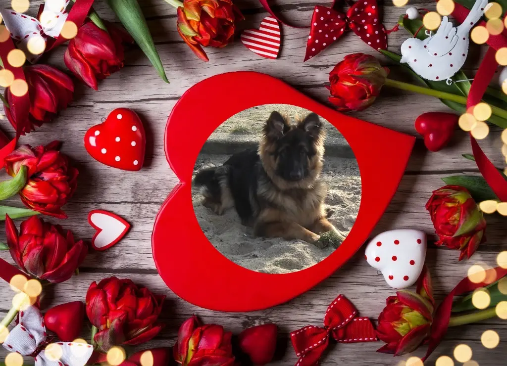 Condolence image of Dzień Dobry❤️❤️❤️mój Ukochany❤️❤️❤️❤️❤️❤️❤️Misieńku❤️❤️❤️