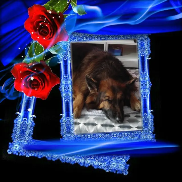 Condolence image of Dobrej Nocki❤️❤️❤️❤️❤️❤️mój Ukochany❤️❤️❤️❤️❤️❤️Misieńku❤️❤️❤️