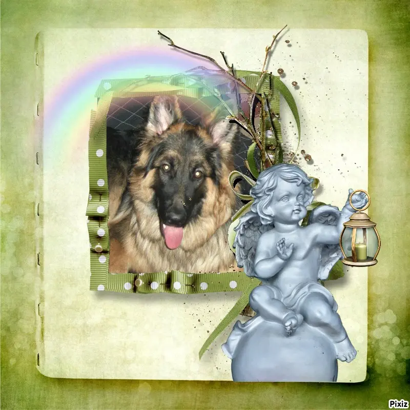 Condolence image of Tanja mit Timmy im Herzen 