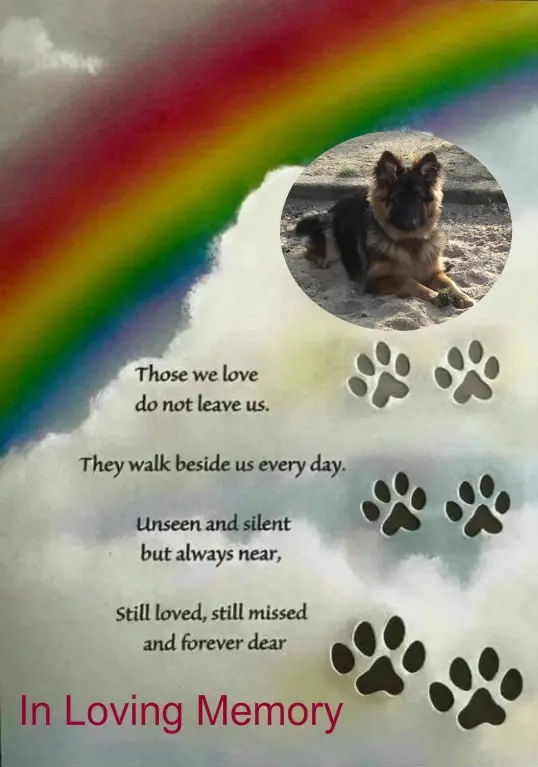Condolence image of 54.Monate....OHNE DICH❤❤❤MISIEŃKU❤❤❤