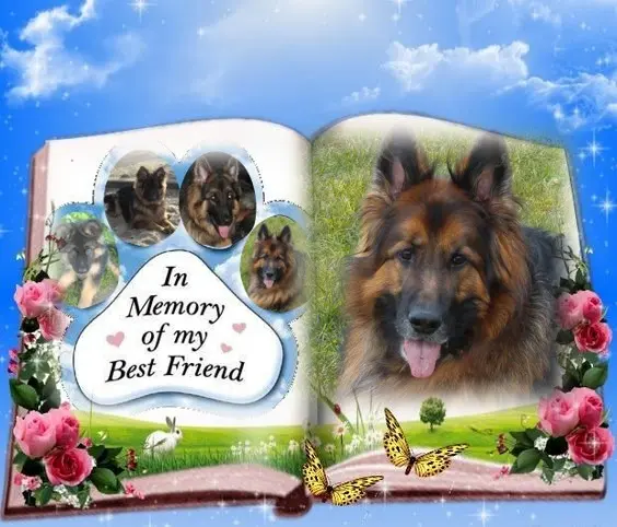 Condolence image of Dzień Dobry❤️❤️❤️mój Ukochany❤️❤️❤️❤️❤️❤️❤️Misieńku❤️❤️❤️
