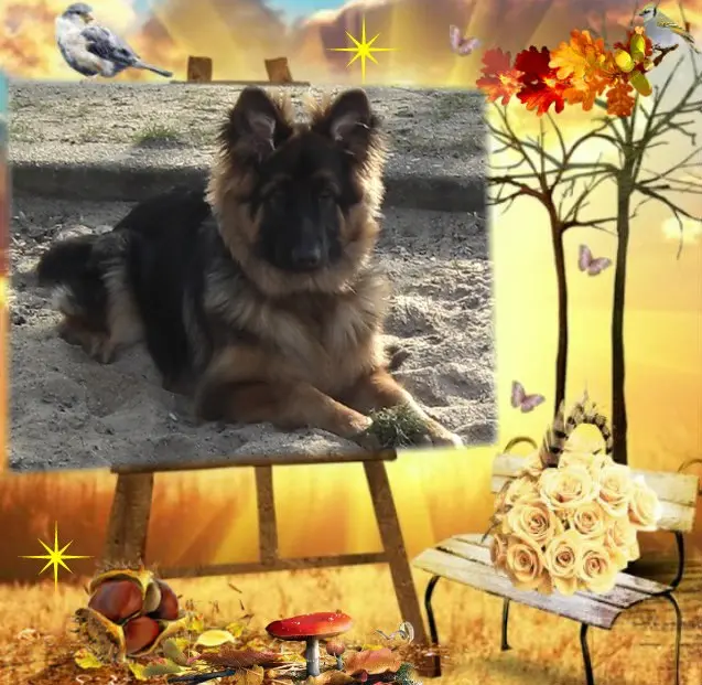 Condolence image of Dzień Dobry❤️❤️❤️mój Ukochany❤️❤️❤️❤️❤️❤️❤️Misieńku❤️❤️❤️