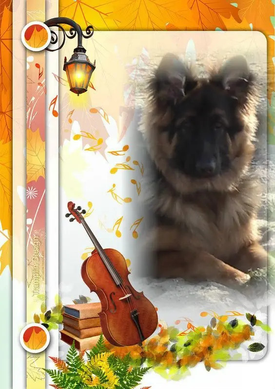 Condolence image of Dzień Dobry❤️❤️❤️mój Ukochany❤️❤️❤️❤️❤️❤️❤️Misieńku❤️❤️❤️