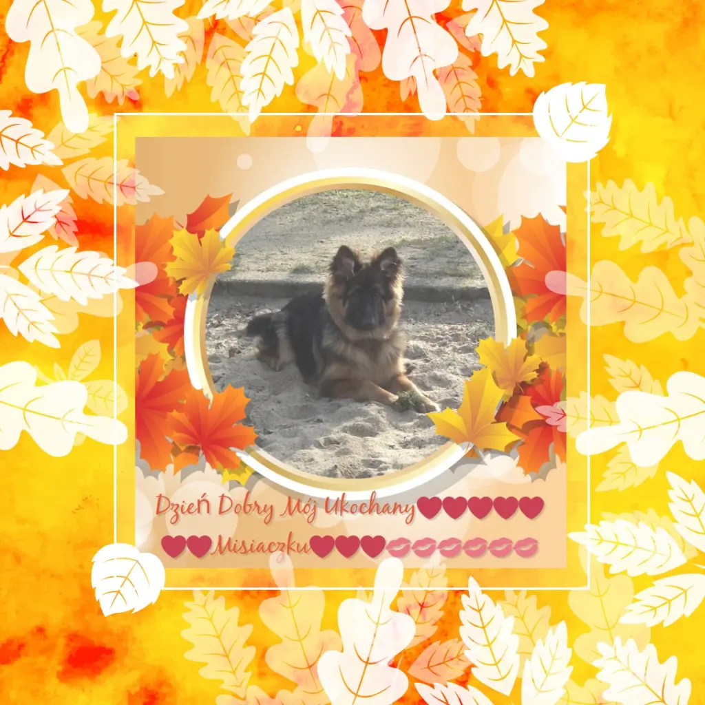 Condolence image of Dzień Dobry❤️❤️❤️mój Ukochany❤️❤️❤️❤️❤️❤️❤️Misieńku❤️❤️❤️