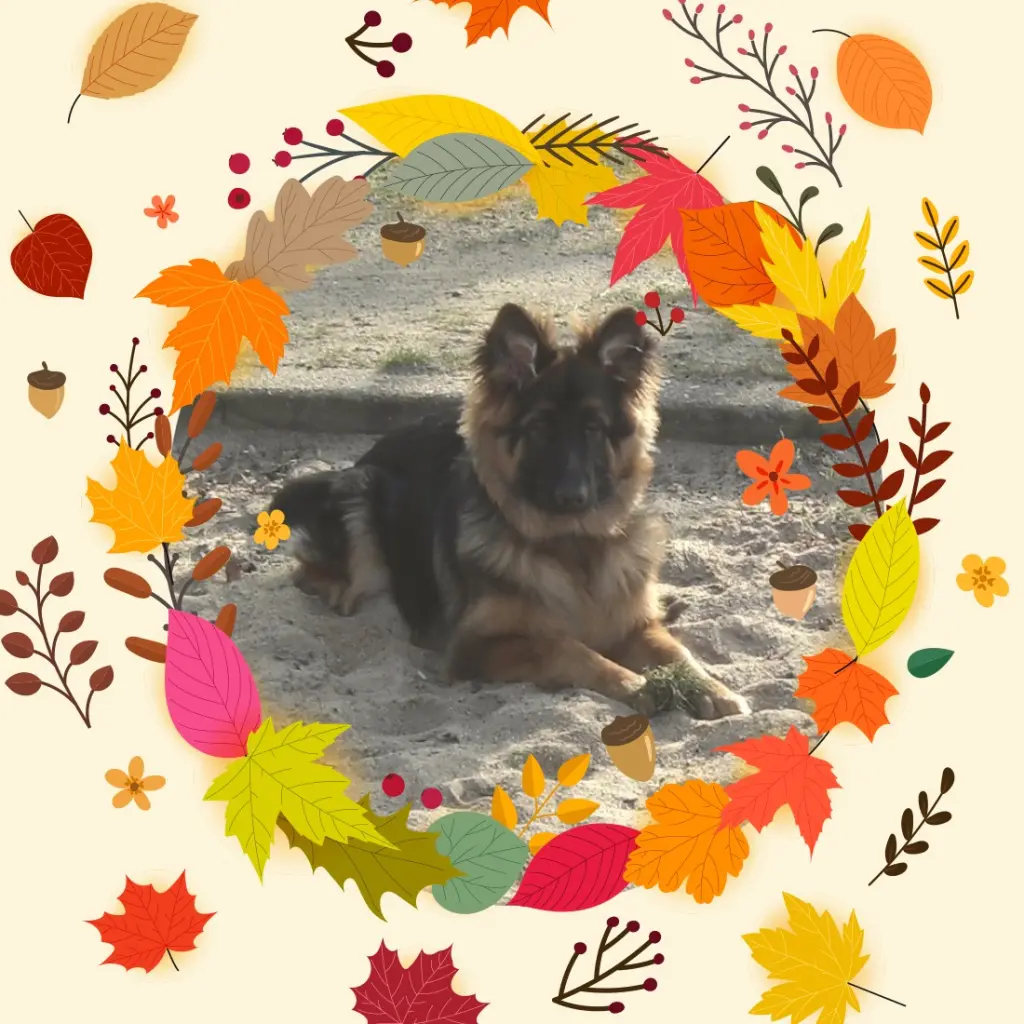 Condolence image of Dzień Dobry❤️❤️❤️mój Ukochany❤️❤️❤️❤️❤️❤️❤️Misieńku❤️❤️❤️