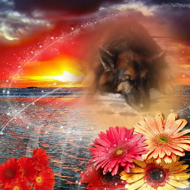 Condolence image of Dobrej Nocki❤️❤️❤️❤️❤️❤️mój Ukochany❤️❤️❤️❤️❤️❤️Misieńku❤️❤️❤️