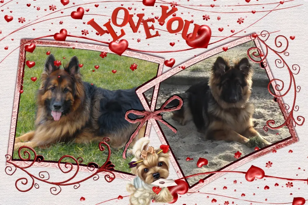 Condolence image of Dzień Dobry❤️❤️❤️mój Ukochany❤️❤️❤️❤️❤️❤️❤️Misieńku❤️❤️❤️