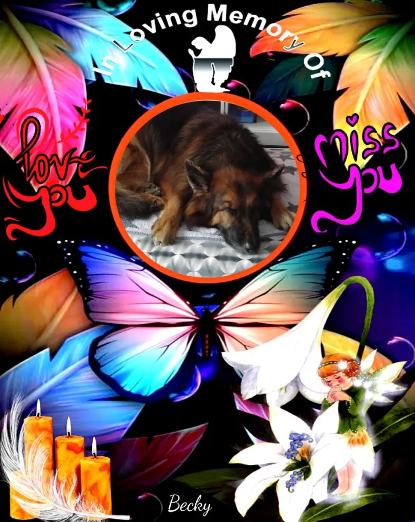 Condolence image of Dobrej Nocki❤️❤️❤️❤️❤️❤️mój Ukochany❤️❤️❤️❤️❤️❤️Misieńku❤️❤️❤️