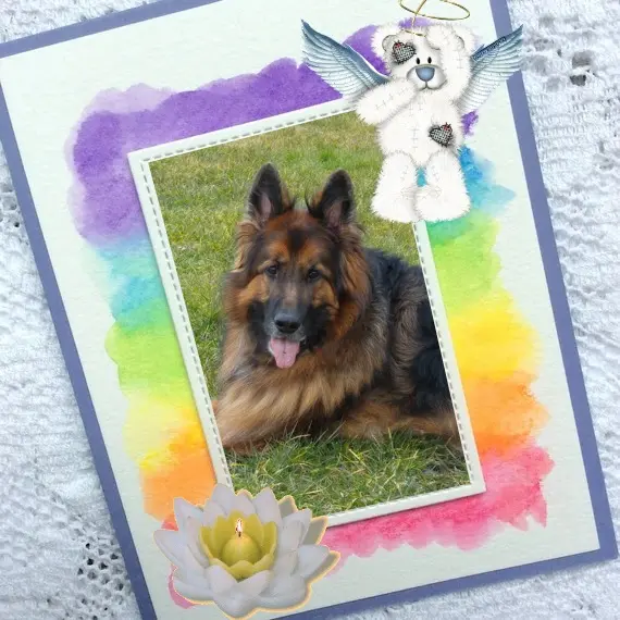 Condolence image of Dzień Dobry❤️❤️❤️mój Ukochany❤️❤️❤️❤️❤️❤️❤️Misieńku❤️❤️❤️