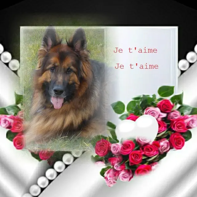 Condolence image of Dzień Dobry❤️❤️❤️mój Ukochany❤️❤️❤️❤️❤️❤️❤️Misieńku❤️❤️❤️