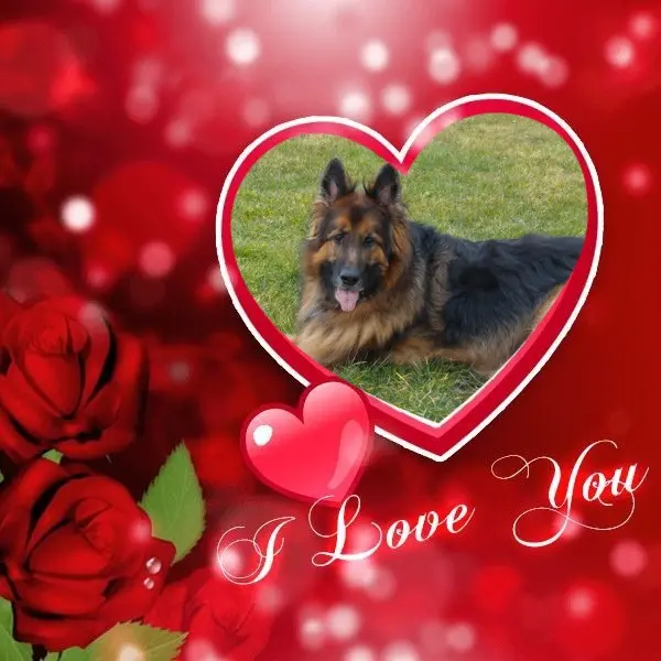 Condolence image of Dzień Dobry❤️❤️❤️Misiu❤️