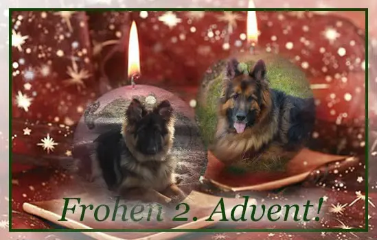 Condolence image of Dzień Dobry❤️❤️❤️mój Ukochany❤️❤️❤️❤️❤️❤️❤️Misieńku❤️❤️❤️