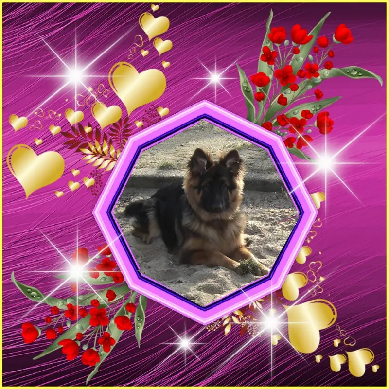 Condolence image of Dzień Dobry❤️❤️❤️mój Ukochany❤️❤️❤️❤️❤️❤️❤️Misieńku❤️❤️❤️