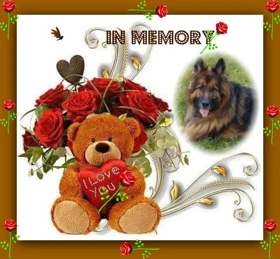 Condolence image of Dzień Dobry❤️❤️❤️mój Ukochany❤️❤️❤️❤️❤️❤️❤️Misieńku❤️❤️❤️