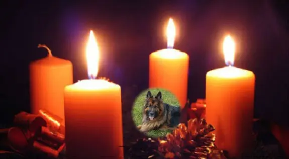 Condolence image of Dzień Dobry❤️❤️❤️mój Ukochany❤️❤️❤️❤️❤️❤️❤️Misieńku❤️❤️❤️