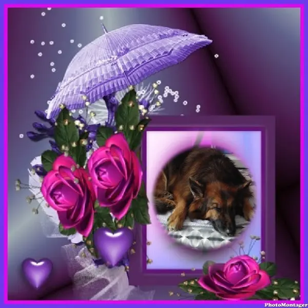 Condolence image of Dobrej Nocki❤️❤️❤️❤️❤️❤️mój Ukochany❤️❤️❤️❤️❤️❤️Misieńku❤️❤️❤️