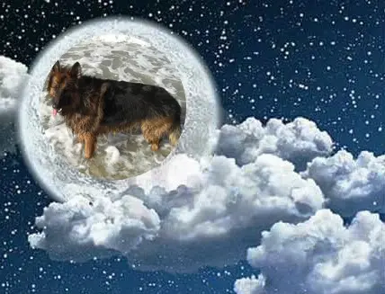 Condolence image of Dzień Dobry❤️❤️❤️mój Ukochany❤️❤️❤️❤️❤️❤️❤️Misieńku❤️❤️❤️