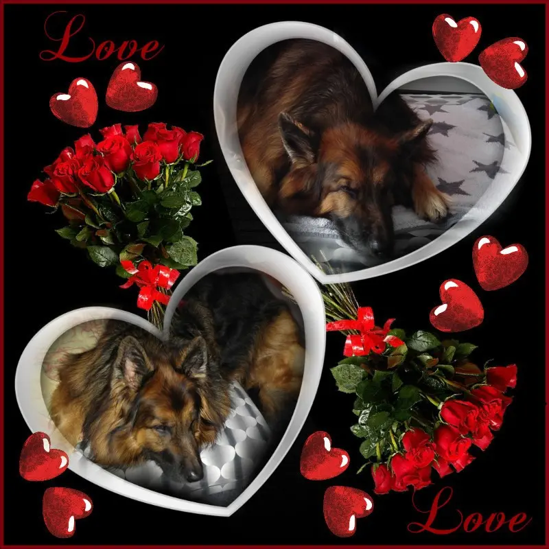 Condolence image of Dobrej Nocki❤️❤️❤️❤️❤️❤️mój Ukochany❤️❤️❤️❤️❤️❤️Misieńku❤️❤️❤️